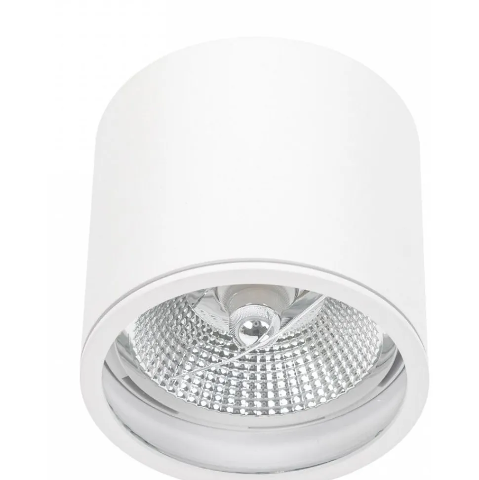 Alasvalo Spectrum Chloe AR111 GU10 IP65 Ø120x115mm