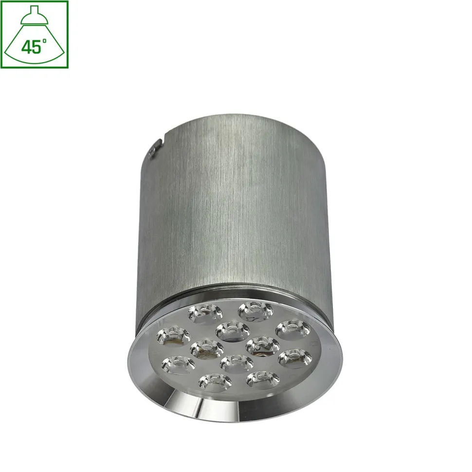 Alasvalo Spectrum Chloe 12LED 12W 45° Ø107.5x120mm alumiini, eri värilämpötiloja