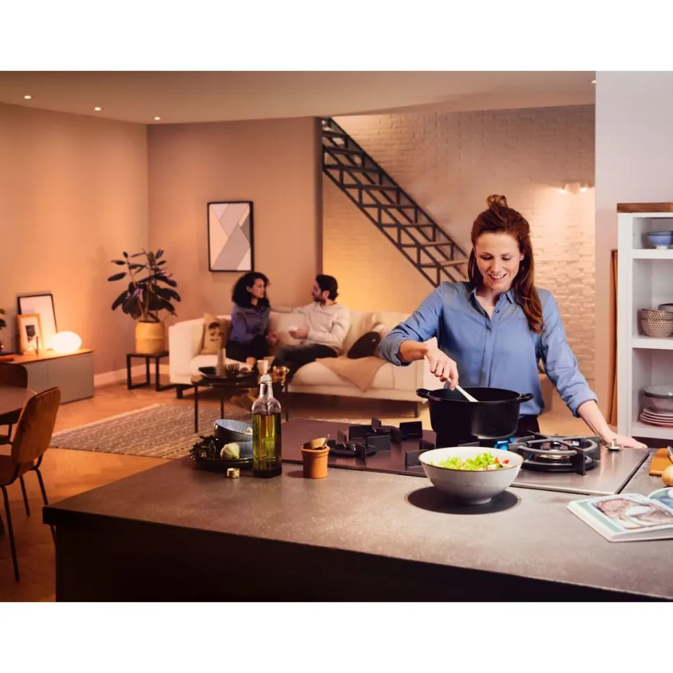 Aloituspakkaus Philips Hue White Ambiance, 2 x älylamppu 8W A60 E27, himmenin ja Hue-silta