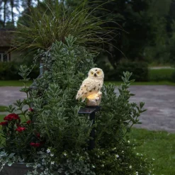 Aurinkokennokoristevalaisin Star Trading Owl 330x100x130mm beige
