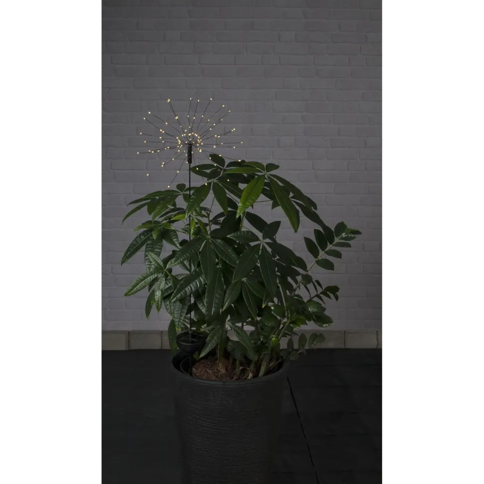 Aurinkokennokoristevalaisin Star Trading Firework, 26x26x1000mm, musta