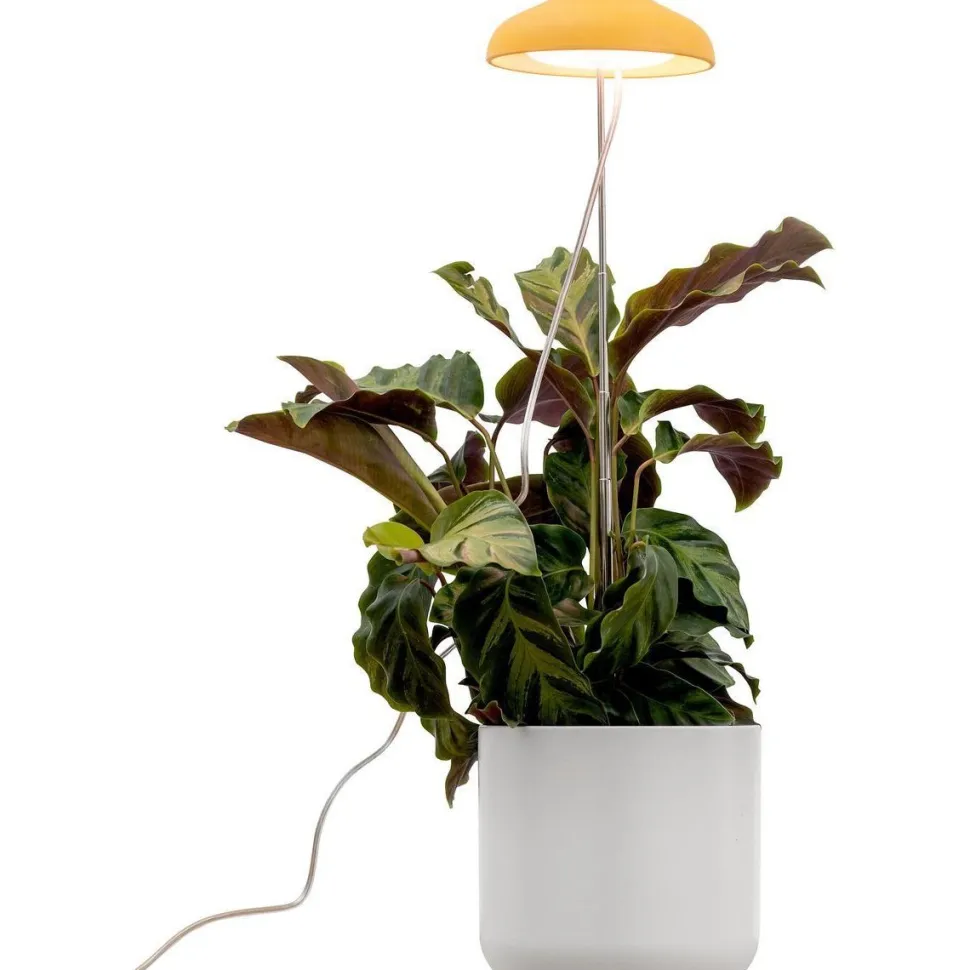 Kasvivalaisin Airam Iris, 5W, 240lm, IP20, valkoinen