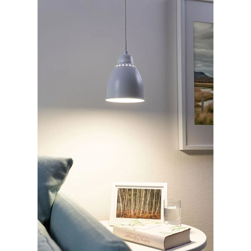 Kasvivalaisin Paulmann Neordic Hilla, E27, himmennettävä, harjattu rauta