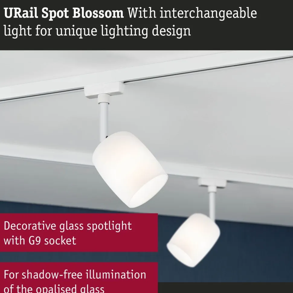 Kiskospotti Paulmann URail Blossom G9 max. 10W himmennettävä valkoinen