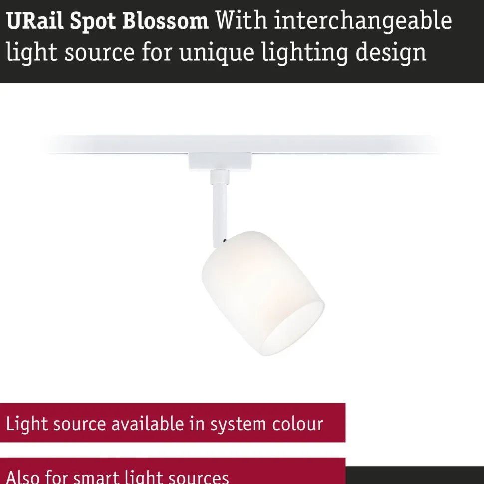Kiskospotti Paulmann URail Blossom G9 max. 10W himmennettävä valkoinen