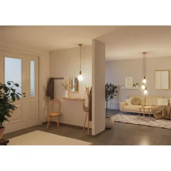 LED-filamenttilamppu Paulmann Lampion Globe, G125, E27, 400lm, 4.3W, 3000K, himmennettävä, valkoinen kuvio