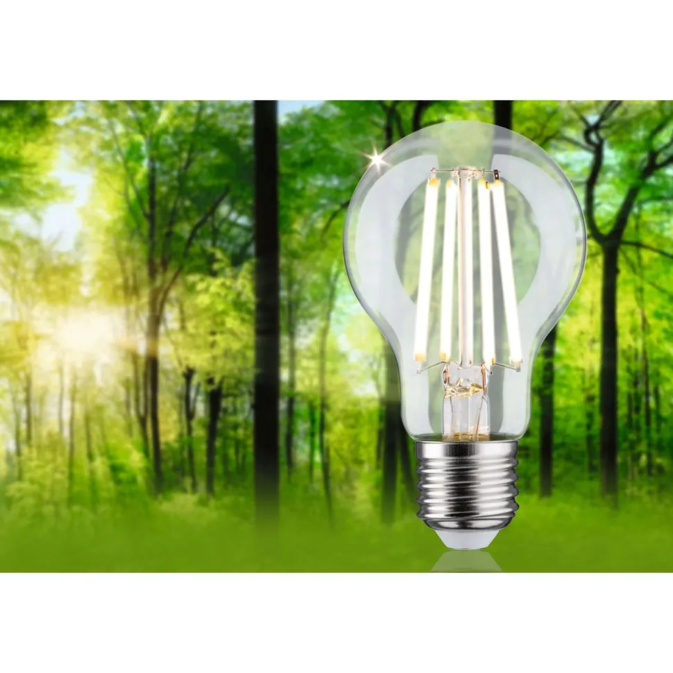LED-filamenttilamppu Paulmann Eco-Line Pear, E27, 840lm, 4W, 3000K, kirkas
