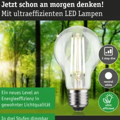 LED-filamenttilamppu Paulmann Eco-Line Pear, 230V, E27, 806lm, 4.3W, 4000K, himmennettävä, kirkas