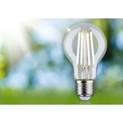 LED-filamenttilamppu Paulmann Eco-Line Pear, E27, 525lm, 2.5W, 4000K, kirkas