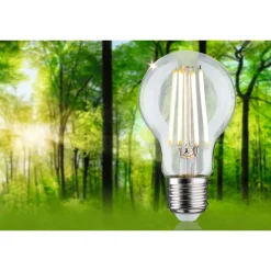 LED-filamenttilamppu Paulmann Eco-Line Pear, E27, 525lm, 2.5W, 3000K, kirkas