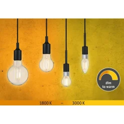 LED-filamenttilamppu Paulmann Globe, G95, E27, 806lm, 7W, säädettävä värilämpötila, kirkas