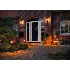 LED-filamenttilamppu Paulmann Pear, E27, 420lm, 4.3W, 2200K, hyönteisystävällinen, kirkas