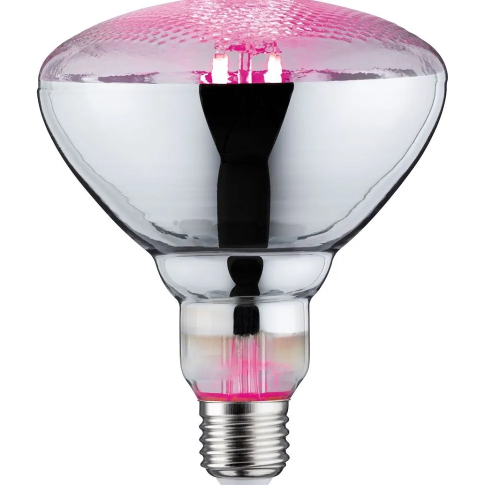 LED-kasvilamppu Paulmann Grow Green Edition Reflector, PAR38, 200lm, 6.5W, 1300K