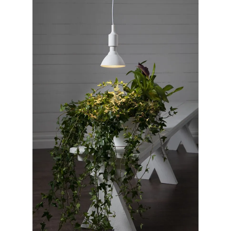 LED-kasvilamppu Star Trading Prosper PAR38 357-35 Ø120x1325 mm E27 16 W 1700 lm