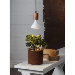 LED-kasvilamppu Star Trading Prosper PAR38 357-35 Ø120x1325 mm E27 16 W 1700 lm