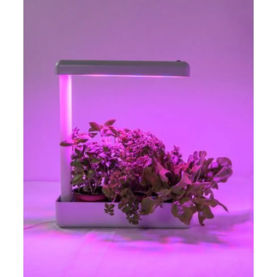 LED-kasvivalaisin Airam Herby Plant 10W/840 650lm 4000K