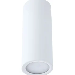 LED-kattovalaisin Paulmann Barrel, 2700K, 470lm, 6W, himmennettävä, harjattu rauta