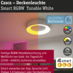 LED-kattovalaisin Paulmann Smart Home Zigbee 3.0 Casca, Ø40cm, IP44, RGBW+, 1750lm, 230V, 20W, himmennettävä, mattamusta
