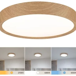 LED-kattovalaisin Paulmann Tega, IP44, 1200lm, 22.5W, säädettävä värilämpötila, vaalea puu