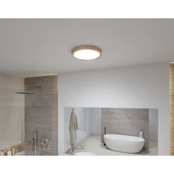 LED-kattovalaisin Paulmann Tega, IP44, 1200lm, 22.5W, säädettävä värilämpötila, vaalea puu