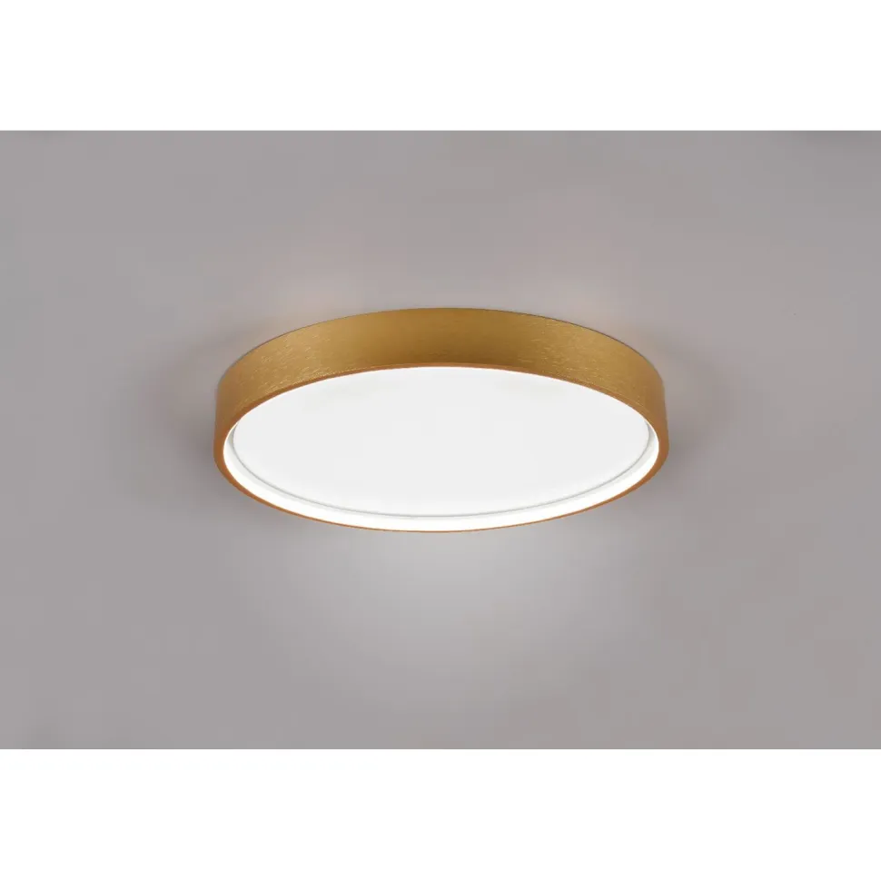 LED-kattovalaisin Trio Doha, 45cm, eri värejä