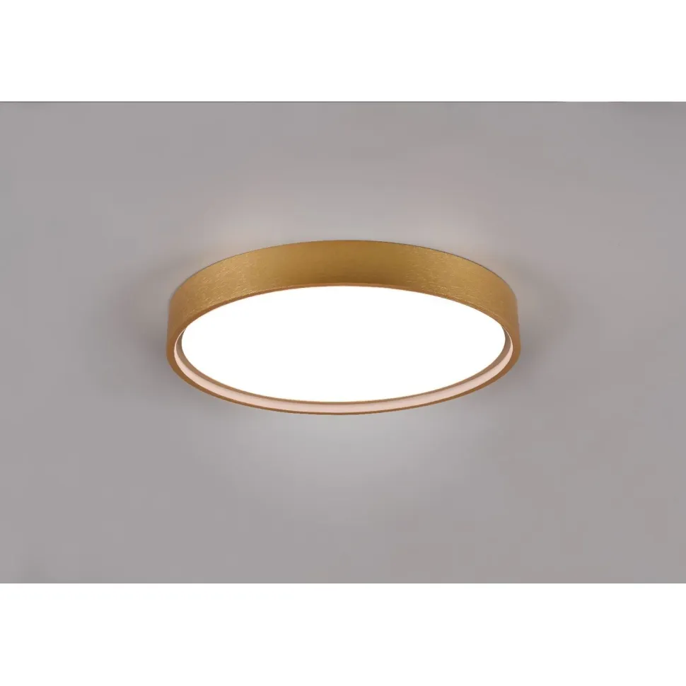 LED-kattovalaisin Trio Doha, 45cm, eri värejä