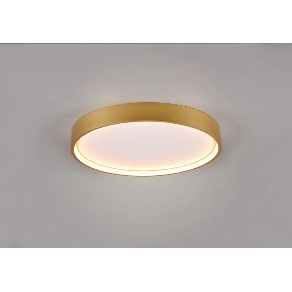 LED-kattovalaisin Trio Doha, 45cm, eri värejä