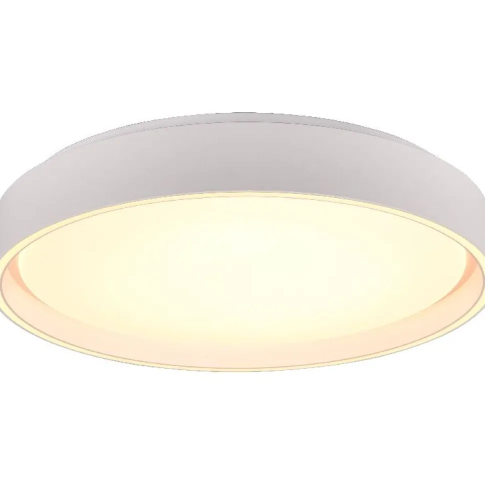 LED-kattovalaisin Trio Felis, 40cm, mattavalkoinen