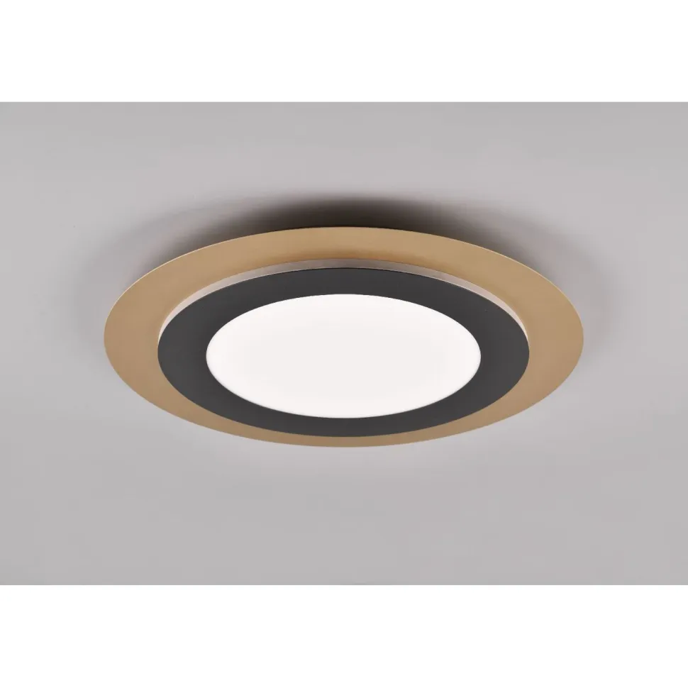 LED-kattovalaisin Trio Morgan, Ø45cm, eri värejä