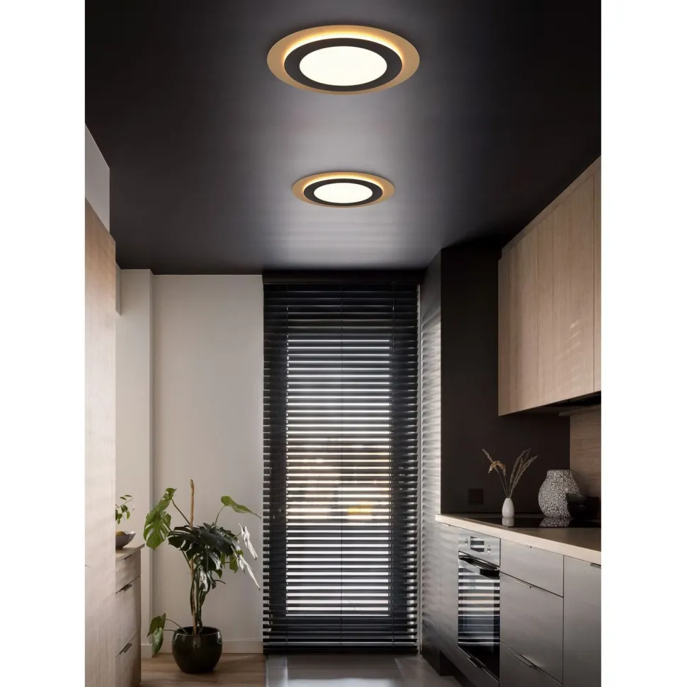 LED-kattovalaisin Trio Morgan, Ø45cm, eri värejä