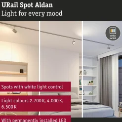 LED-kiskospotti Paulmann URail Smart Home Zigbee 3.0 Aldan 500lm 8W mattakromi