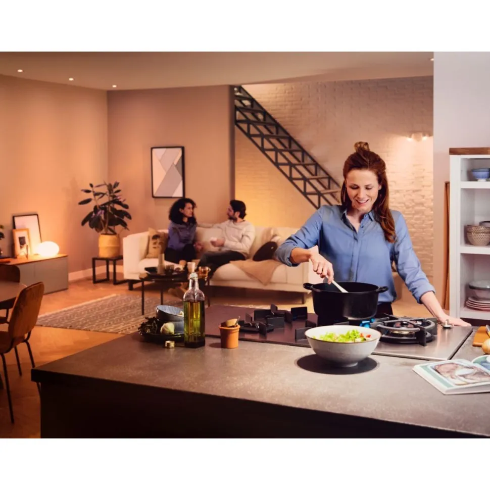 LED-älylamppu Philips Hue WA 13,5W A67 E27
