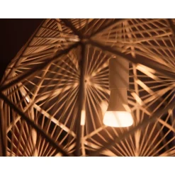 LED-älylamppu Philips Hue WA 13,5W A67 E27