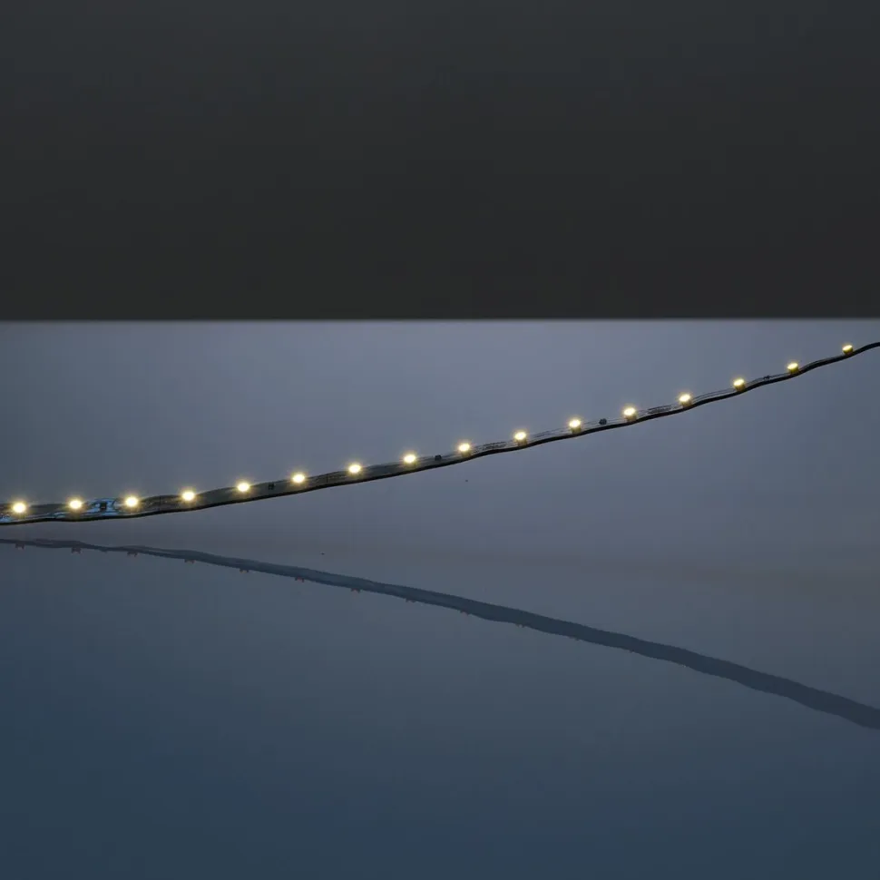 LED-nauha FTLIGHT Prime 5 m 4,8 W/m 12 V 100 lm/W IP65 3000 K