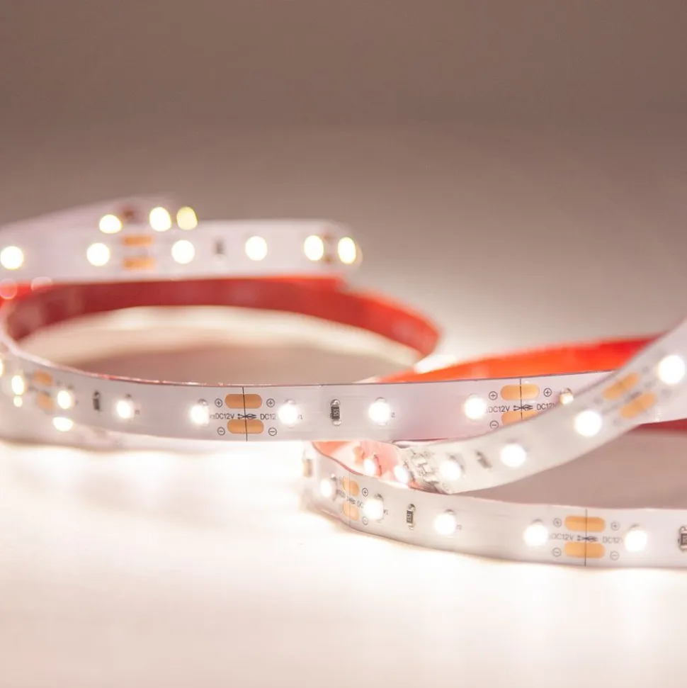 LED-nauha FTLIGHT Prime 5 m 4,8 W/m 12 V 100 lm/W IP65 3000 K