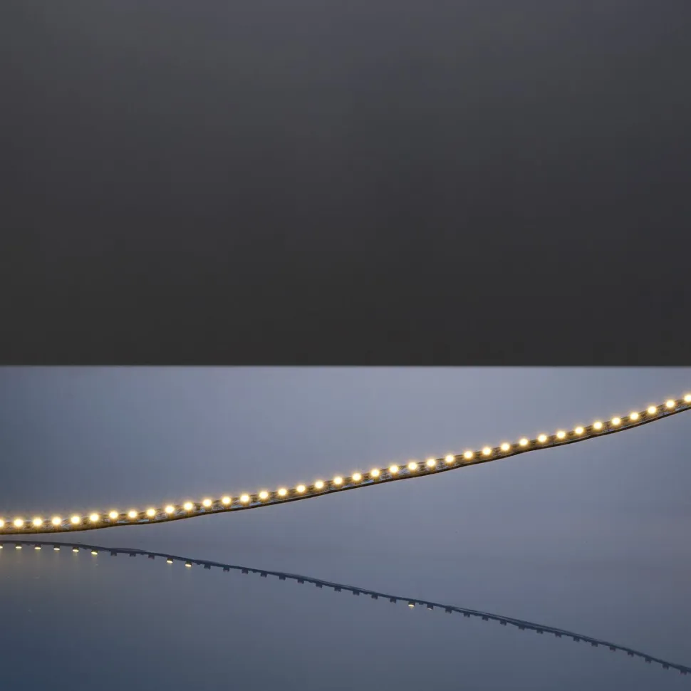 LED-nauha FTLIGHT Prime 5 m 4,8 W/m 12 V 100 lm/W IP65 3000 K