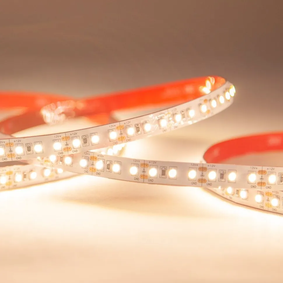 LED-nauha FTLIGHT Prime 5 m 4,8 W/m 12 V 100 lm/W IP65 3000 K