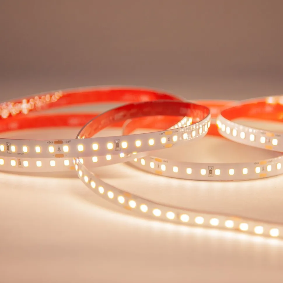 LED-nauha FTLIGHT Prime 5 m 6 W/m 24 V 130 lm/W IP20 3000 K