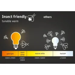 LED-numerovalaisin liike- ja hämärätunnistimella Paulmann Padea, Smart Home Zigbee 3.0, IP44, antrasiitti