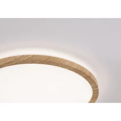 LED-paneeli Paulmann Atria Shine Backlight, IP44, Ø19cm, 11.2W, 4000K, puunruskea