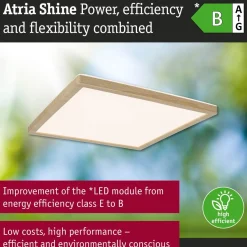 LED-paneeli Paulmann Atria Shine IP44 298x298mm 15.7W 2100lm White Switch puunruskea tammi