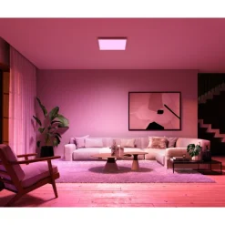 LED-paneeli Philips Hue Surimu 60x60 cm valkoinen