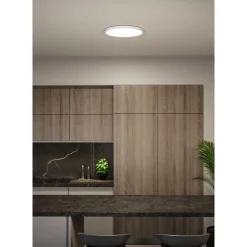 LED-paneeli Paulmann Alya Ø230mm 17W 1700lm 3000-6500K valkoinen