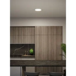 LED-paneeli Paulmann Alya Ø230mm 17W 1700lm 3000-6500K valkoinen