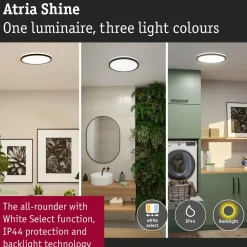 LED-paneeli Paulmann Atria Shine IP44 Ø398mm 20.8W 2800lm White Switch puunruskea tammi
