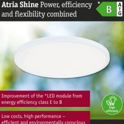 LED-paneeli Paulmann Atria Shine IP44 Ø398mm 20.8W 2800lm White Switch puunruskea tammi