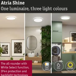 LED-paneeli Paulmann Atria Shine IP44 Ø398mm 20.8W 2800lm White Switch puunruskea tammi