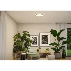 LED-paneeli Paulmann Atria Shine IP44 Ø398mm 20.8W 2800lm White Switch puunruskea tammi