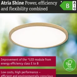 LED-paneeli Paulmann Atria Shine IP44 Ø398mm 20.8W 2800lm White Switch puunruskea tammi