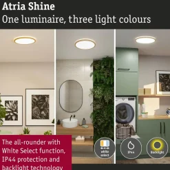 LED-paneeli Paulmann Atria Shine IP44 Ø398mm 20.8W 2800lm White Switch puunruskea tammi